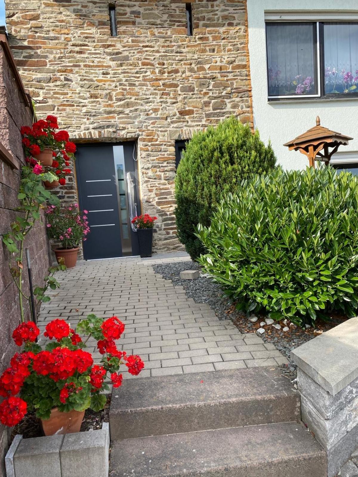 Vila Familie Moisil Daun Exteriér fotografie